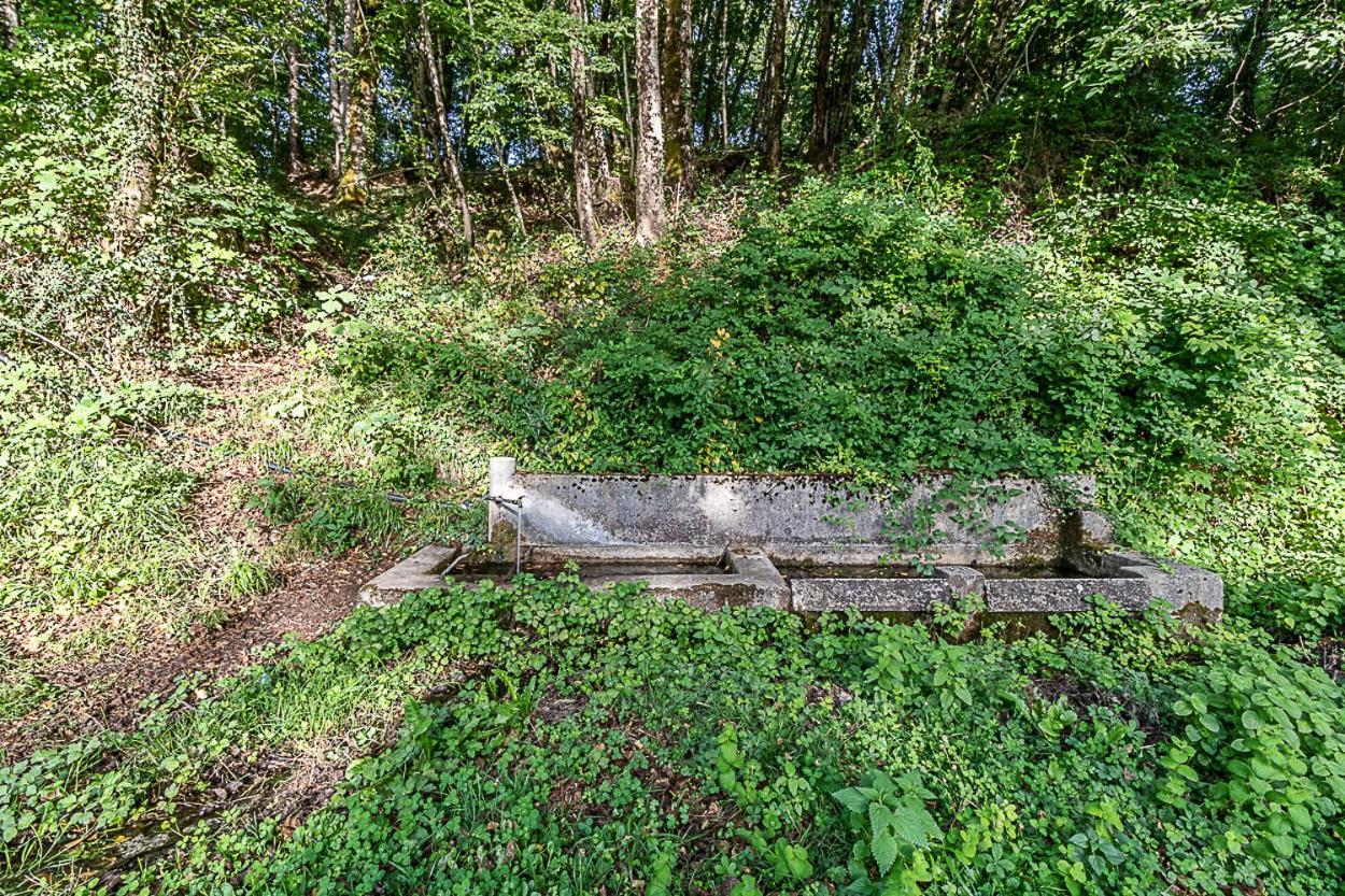 فيلا Agriturismo Casal D'Acqua Bianca Casalbuono المظهر الخارجي الصورة